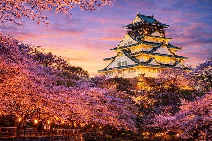Osaka und Nara Private Tagestour zum Weltkulturerbe