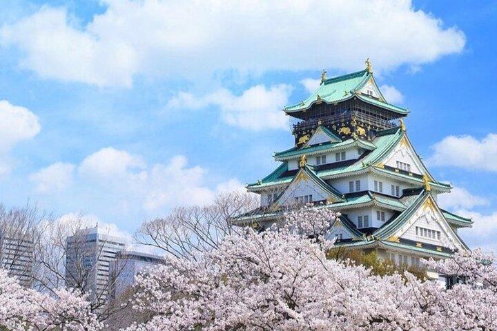 Osaka og Nara Customized World Heritage Private endagstur