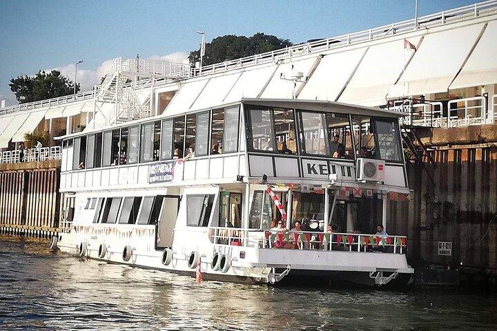Crucero panorámico por los ríos Sava y Danubio