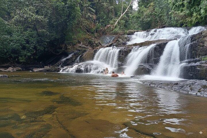 Sinharaja Regenwald Tagestour von Mirissa, Galle, Bentota Area