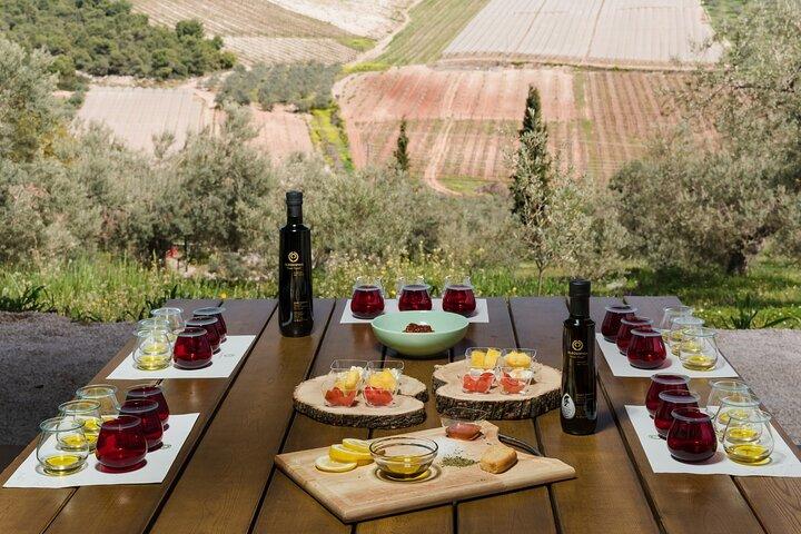 De Nauplie : Ancient Argos & Olive Oil Experience