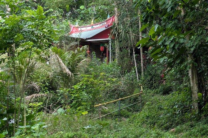 Jungle and Heritage Walk in Singapore