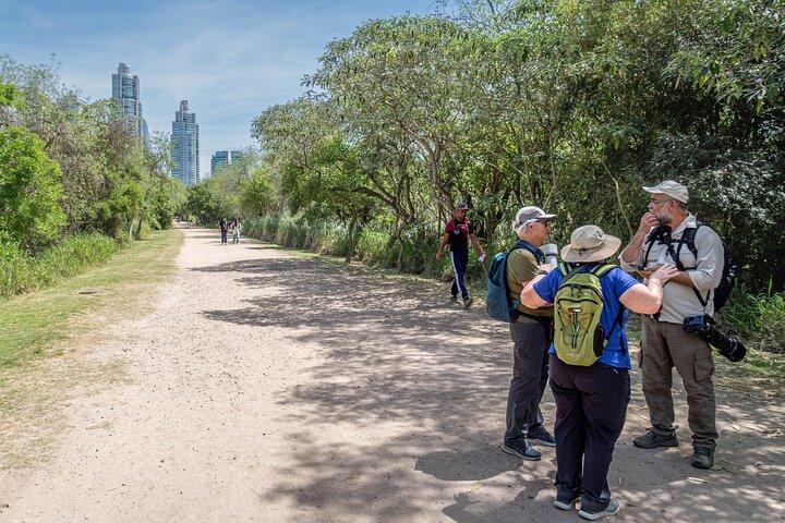 Fuglekigning i Buenos Aires - Costanera Sur Reserve