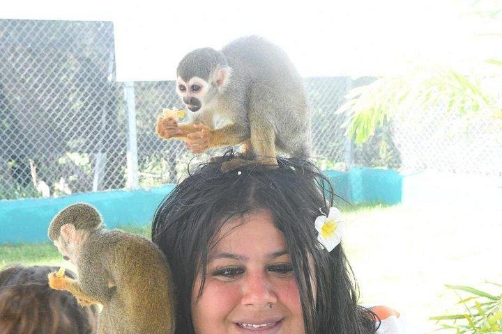 VIP Meeting with Squirrel Monkeys and Authentic Flavors