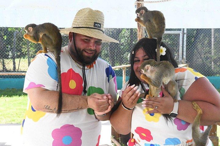 VIP Meeting with Squirrel Monkeys and Authentic Flavors