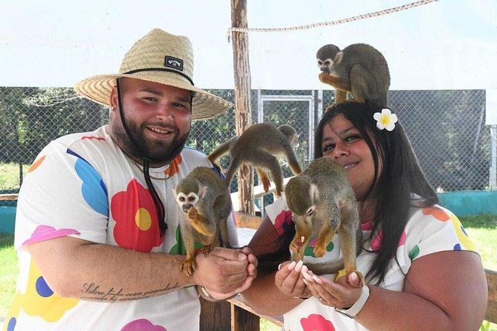 VIP Meeting with Squirrel Monkeys and Authentic Flavors