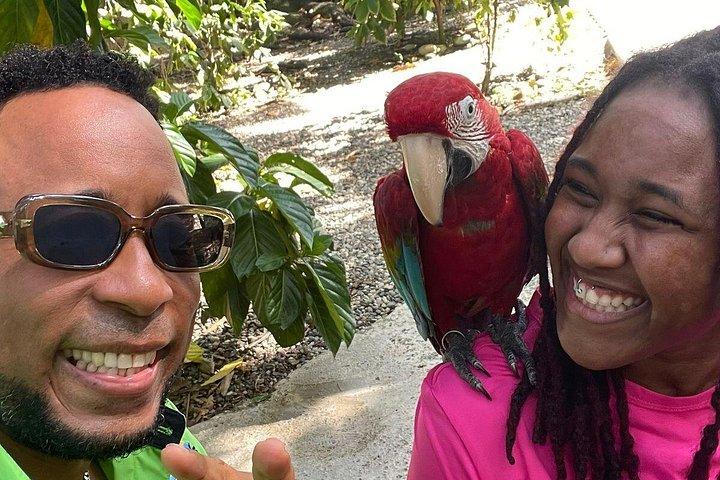VIP Meeting with Squirrel Monkeys and Authentic Flavors