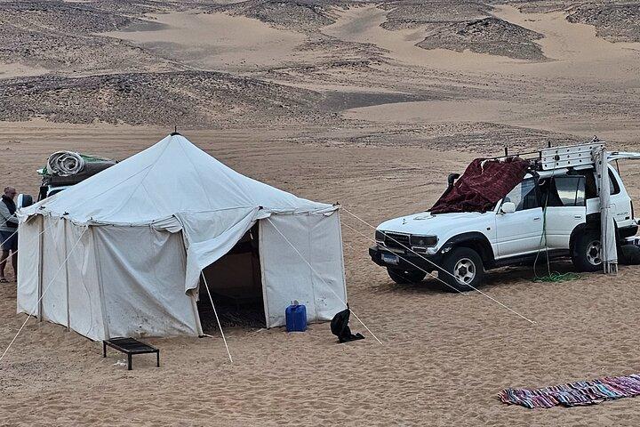 2 dagar Desert Odyssey Camping bland Egyptens naturliga underverk