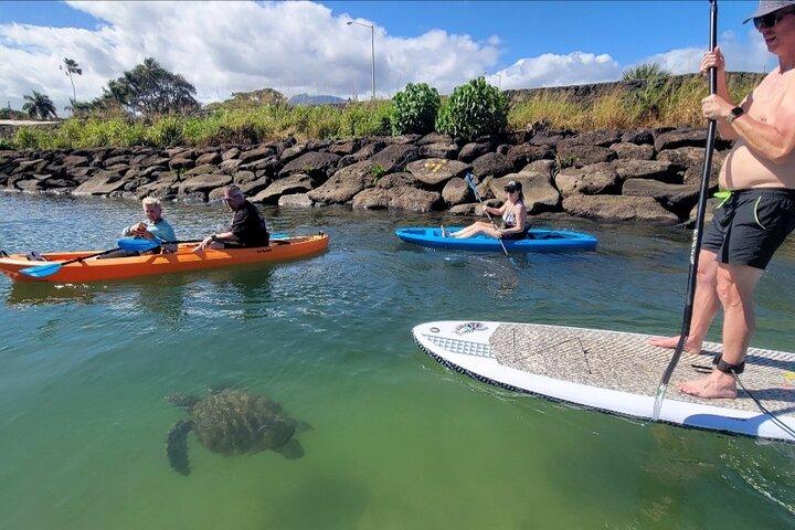 Passeio guiado de paddleboard e caiaque no rio Anahulu
