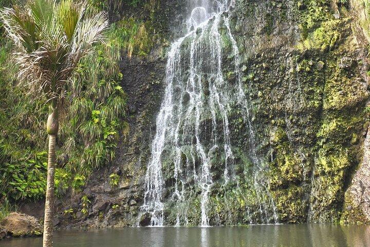 Private Tour an die Westküste von Auckland: Piha Beach und Karekare Falls