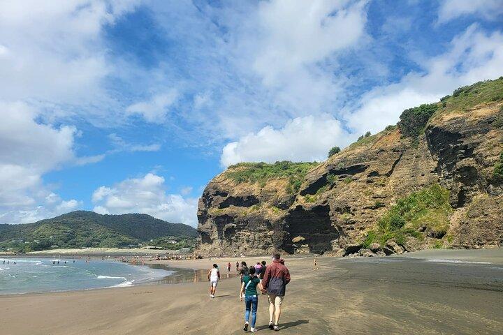 プライベートオークランド西海岸カレカレの滝、熱帯雨林とピハ