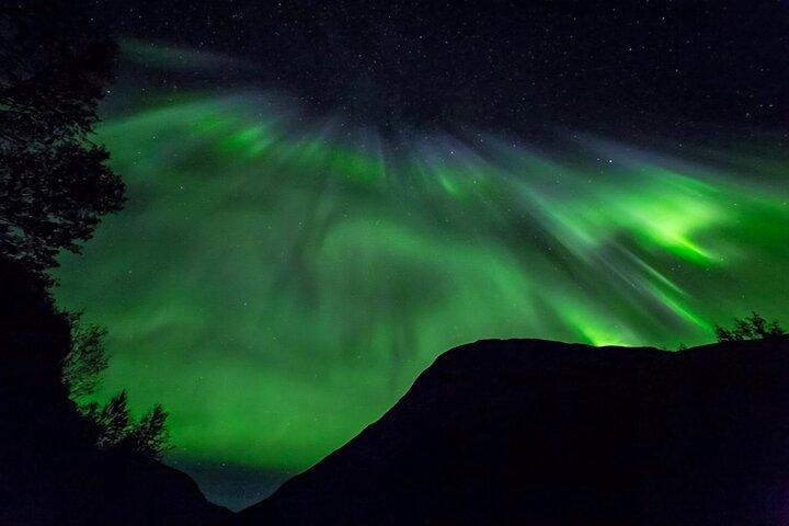 Tromsø : Nordlichterjagd — Kleingruppentour