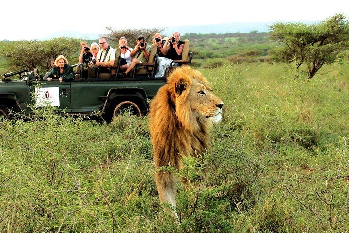 5 - Days Cape Town : Big Five Safari-Oudtshoorn - Knysna - Baía de Mossell