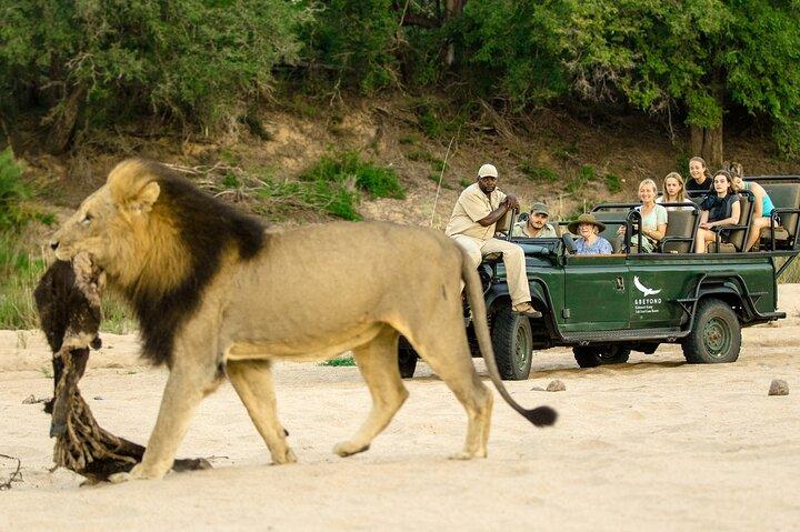 5 - Days Cape Town : Big Five Safari-Oudtshoorn - Knysna - Baía de Mossell