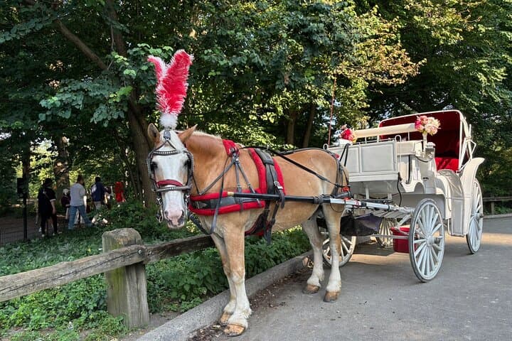 NYC: Official Guided Central Park Horse Carriage Ride