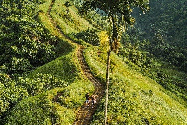 Shore Excursion From Benoa Port, private Bali Nature Tour