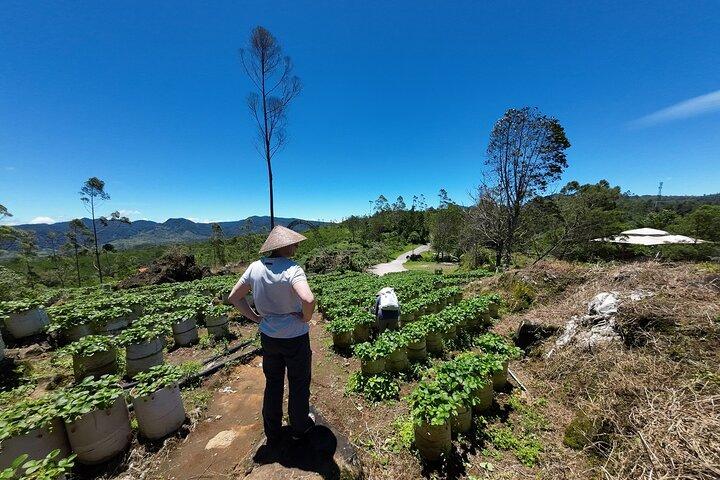 タンクバン・パラフ火山またはホワイトクレーター・バンドンガイドツアー