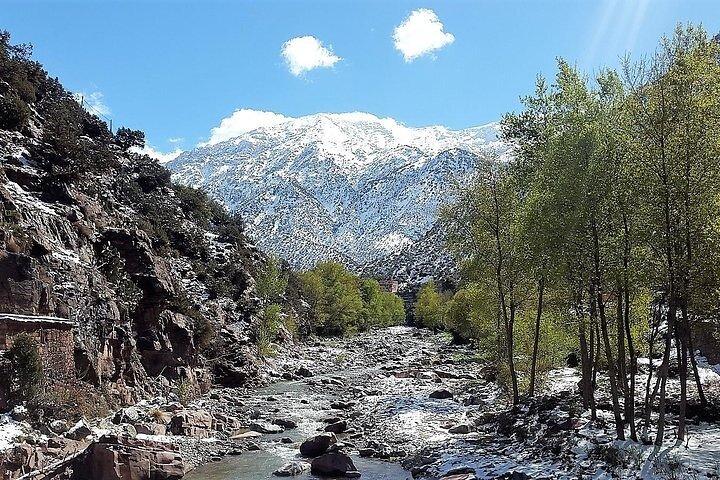 Atlas Mountains Berber Village Trip with Camel Ride
