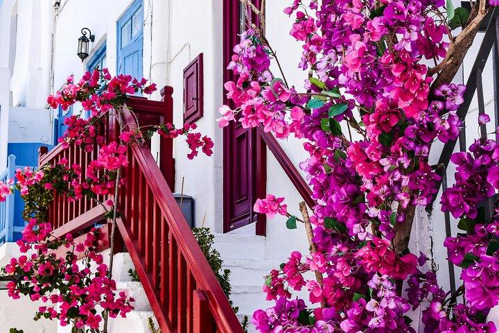 Mykonos privata måste-se höjdpunkter Sightseeing Tour