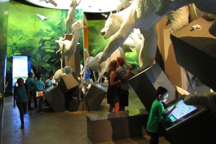 Beautiful BioMuseo - Museum of Biodiversity