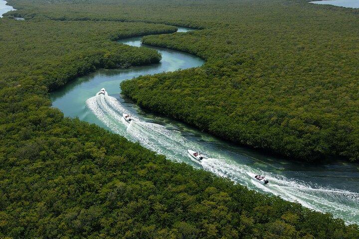Maya Jungle Tour : 5 Erlebnisse in 1 Cancún Abenteuer