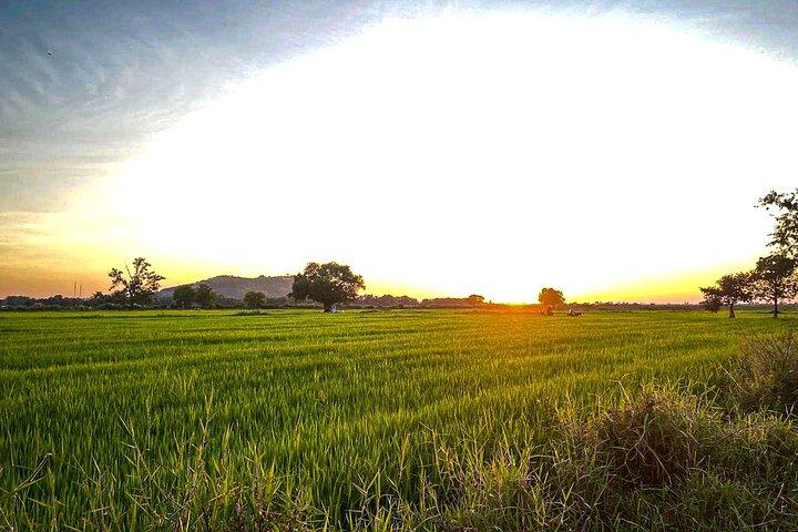 Passeio de bicicleta pelo Sunset Siem Reap