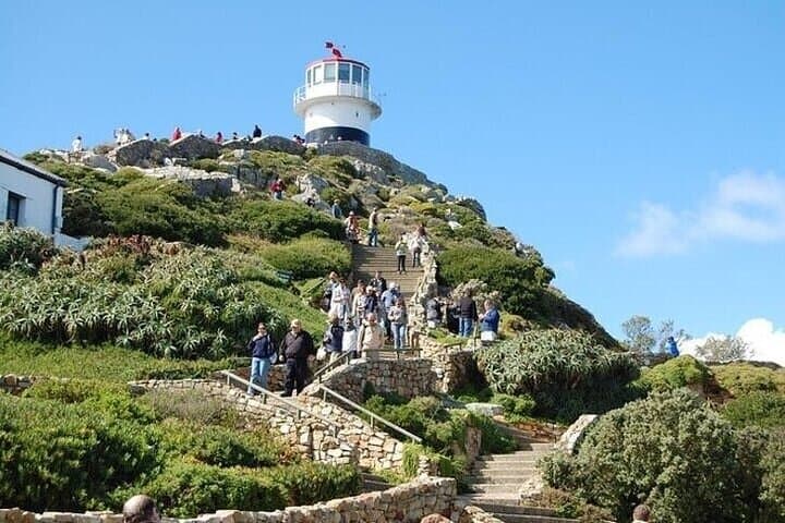 Cape of Good Hope Penguins Private Tour Customizable Experience