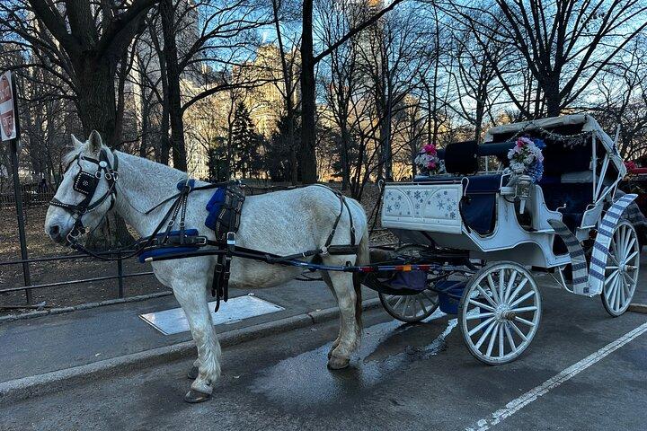 Central Park Carriage Ride NYC:s tidlösa tur