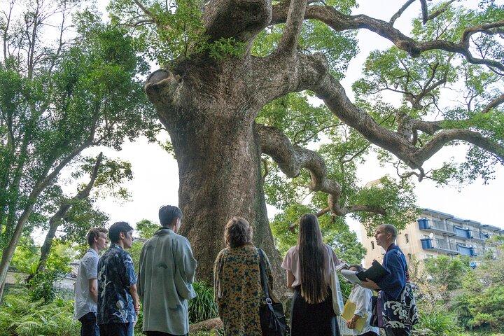 Exklusive private Tour : Fukue Castle, Japans letztes Seeschloss