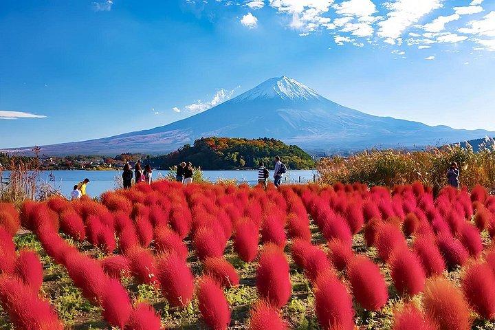東京から : 富士山 6つの見どころ : 河口湖、忍野八海