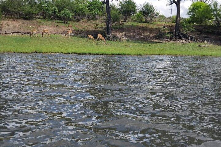 5-daagse Hwange Chobe National Park Safari en Victoria Falls