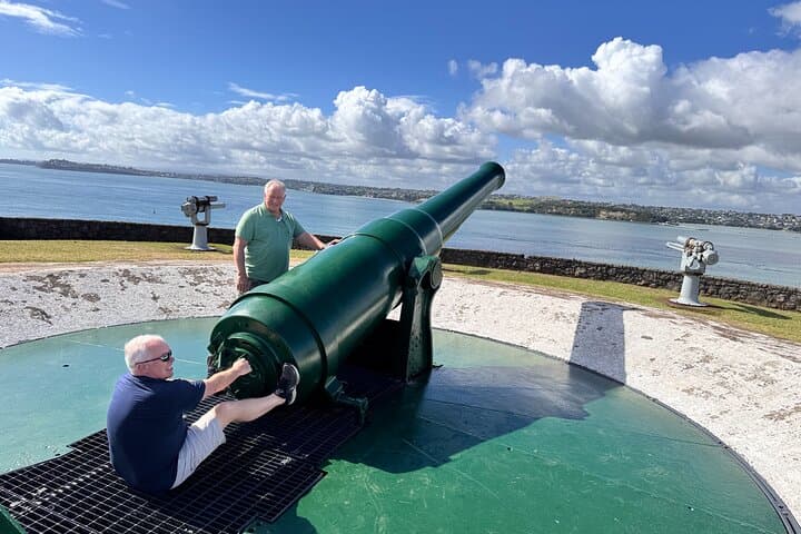 Full-Day Auckland Discovery
