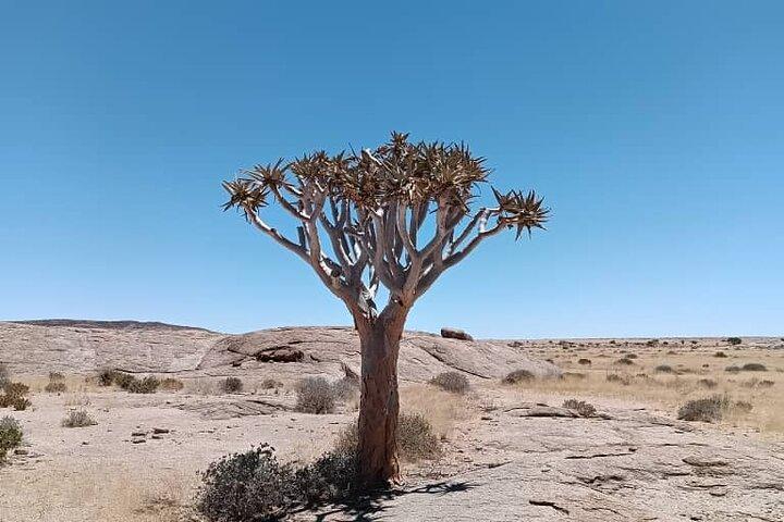Excursão de um dia ao Parque Nacional Naukluft de Namib
