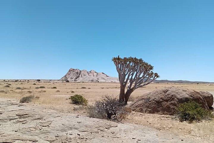 Excursão de um dia ao Parque Nacional Naukluft de Namib