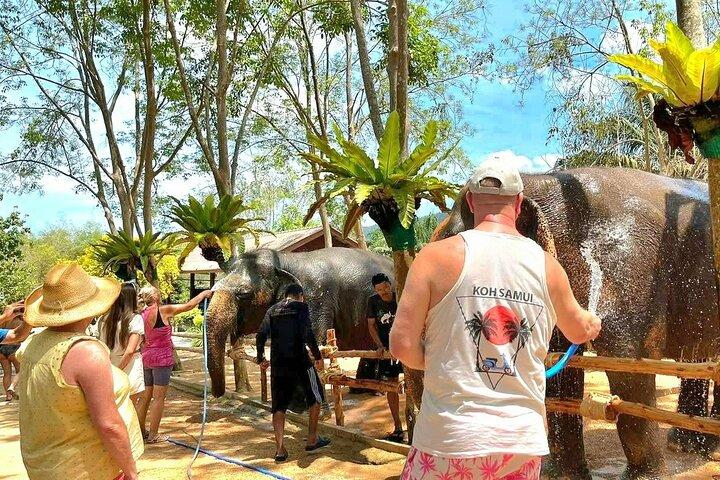 Elephant Nature Care, le plus grand sanctuaire d'éléphants de Koh Samui