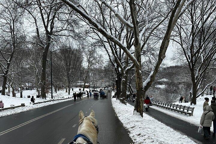 Central Park Carriage Ride NYC:s tidlösa tur
