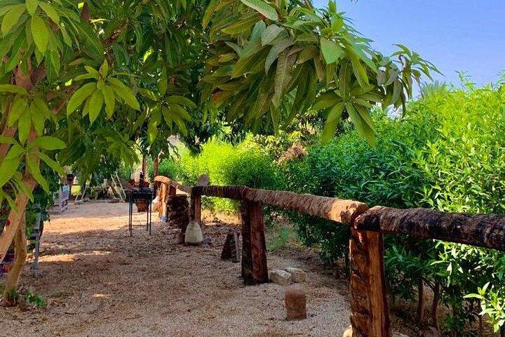 Geniet van lunch of diner in de buitenlucht bij Luxor Farm