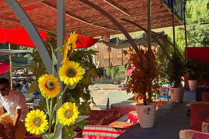 Atlas Mountains and Ourika Valley Day Trip from Marrakech