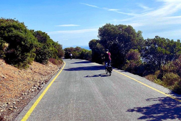 Enjoy Cycling in Büyükada: Freedom & Exploration