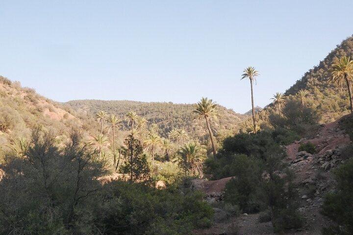 Hidden Amazigh Valley around Agadir: Hike, Swim & Local Lunch