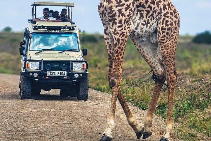 Private Nairobi National Park Safari in 4x4 Land Cruiser