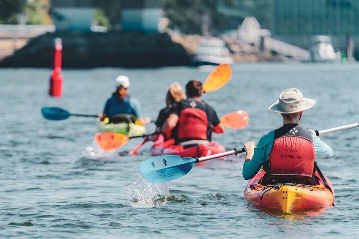Vancouver Smooth Classic Kayak Tour