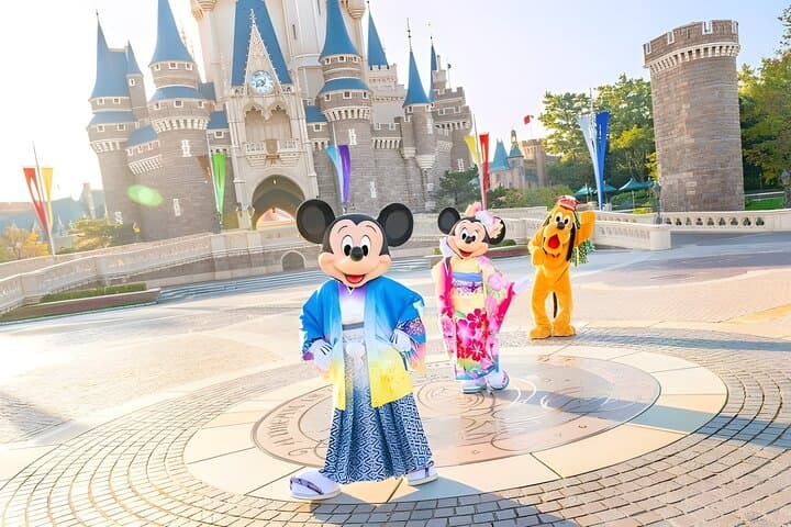 Tokyo Disneyland Ticket and Shared Transfers