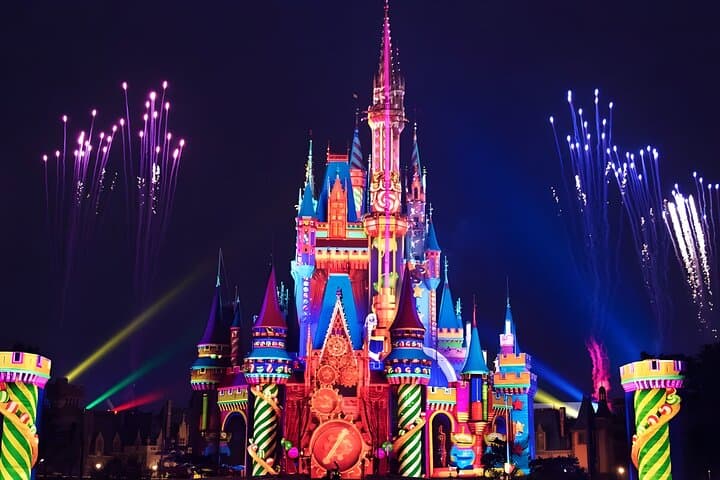 Tokyo Disneyland Ticket and Shared Transfers
