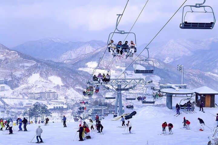 Korea Ski Tour from Seoul - Jisan Resort with Isaac Toast
