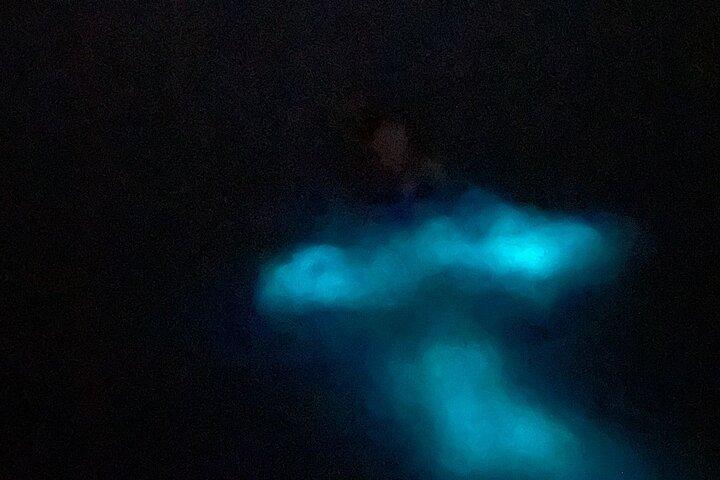 生物発光ベイボートツアー輸送スナックとシュノーケリング