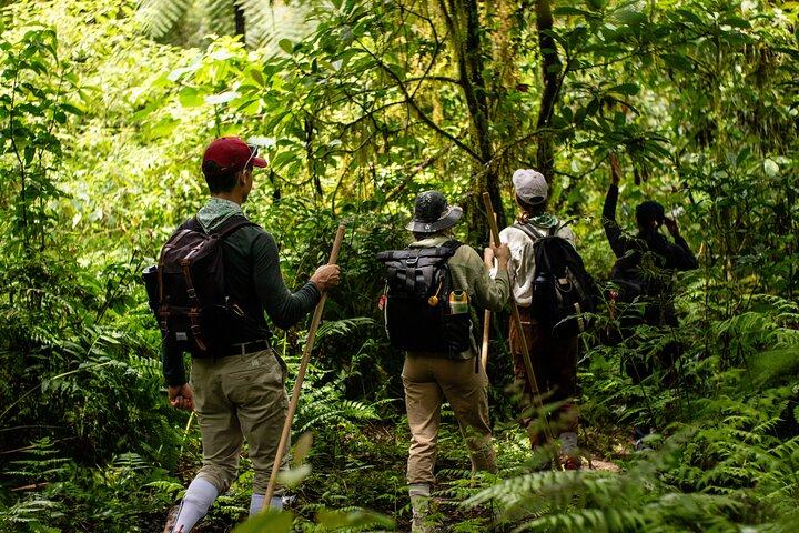 Coração de Bali: Um 5 - Dia Bali Heritage Trail