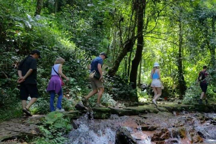 Hoteller i nærheden af Chiang Mai Mae Kam Pong Wild Gibbon Jungle Trek