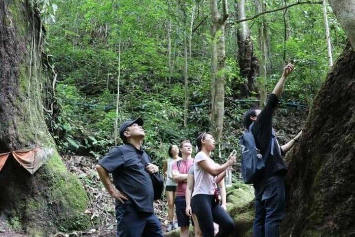 Hoteller i nærheden af Chiang Mai Mae Kam Pong Wild Gibbon Jungle Trek
