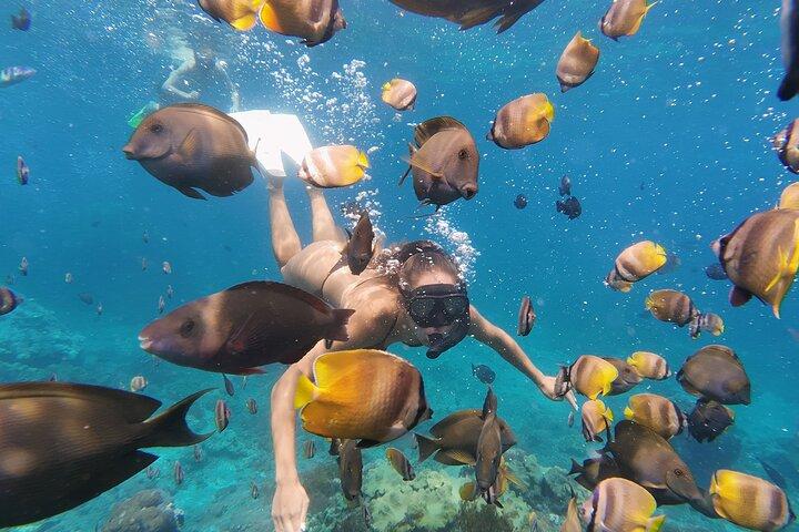 Excursión de un día al oeste de Nusa Penida y buceo desde Nusa Lembongan